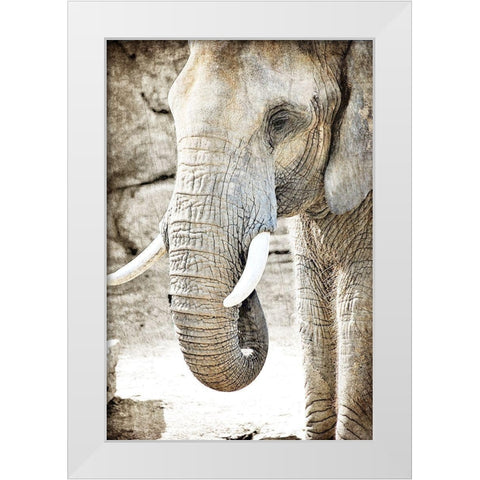 Ageless White Modern Wood Framed Art Print by Kimberly, Allen