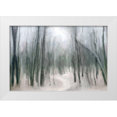 Shrouded Forest 1 White Modern Wood Framed Art Print by Allen, Kimberly