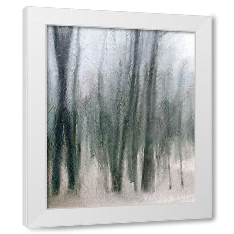 Shrouded Forest 2 White Modern Wood Framed Art Print by Allen, Kimberly