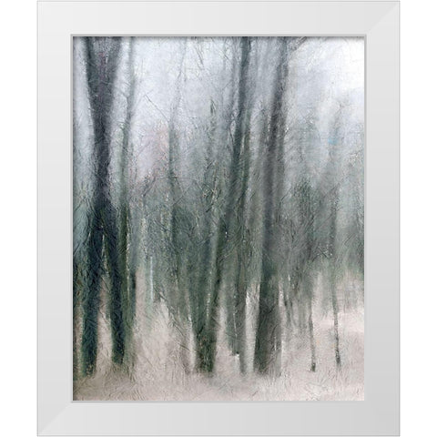 Shrouded Forest 2 White Modern Wood Framed Art Print by Allen, Kimberly