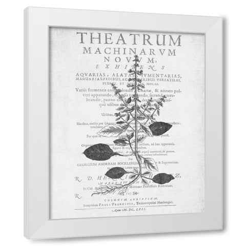 Defused Botanical 2 White Modern Wood Framed Art Print by Kimberly, Allen