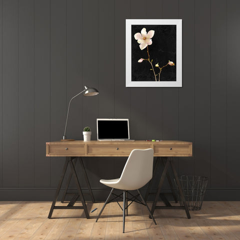 Magnolia on Black 1 White Modern Wood Framed Art Print by Kimberly, Allen