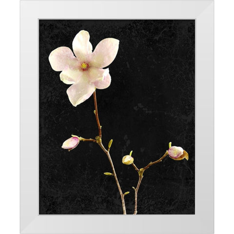Magnolia on Black 1 White Modern Wood Framed Art Print by Kimberly, Allen