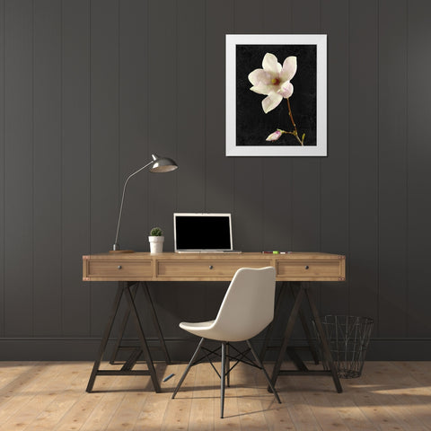 Magnolia on Black 2 White Modern Wood Framed Art Print by Kimberly, Allen