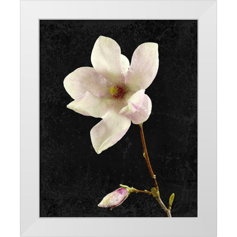 Magnolia on Black 2 White Modern Wood Framed Art Print by Kimberly, Allen