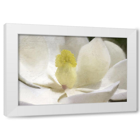 Carte Postale Magnolia Bloom White Modern Wood Framed Art Print by Kimberly, Allen