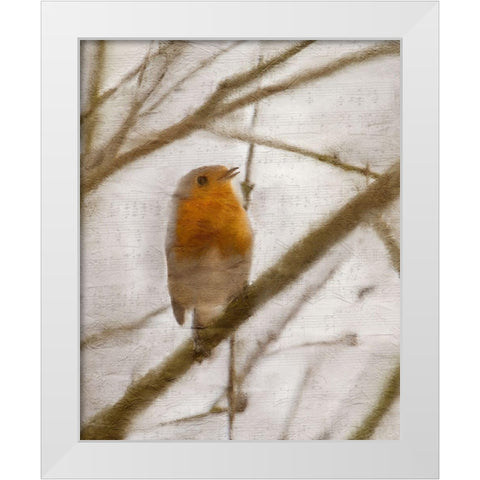 Bird on a Branch 1 White Modern Wood Framed Art Print by Kimberly, Allen