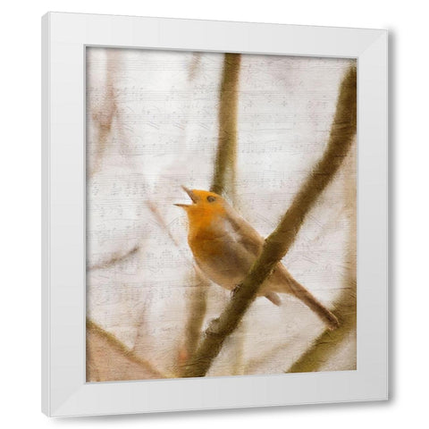 Bird on a Branch 2 White Modern Wood Framed Art Print by Kimberly, Allen