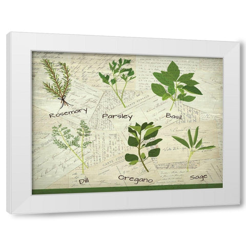 Fresh Herbs White Modern Wood Framed Art Print by Kimberly, Allen