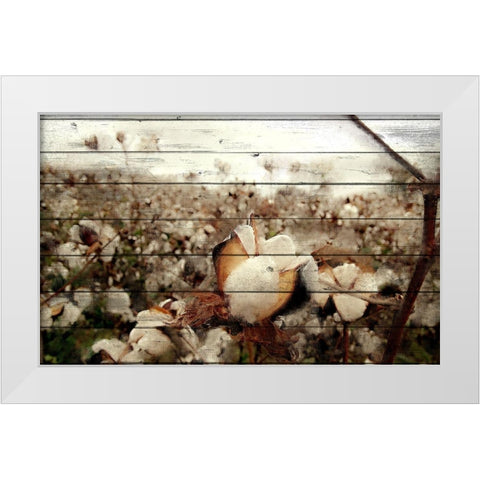 Cotton Field 1 White Modern Wood Framed Art Print by Kimberly, Allen