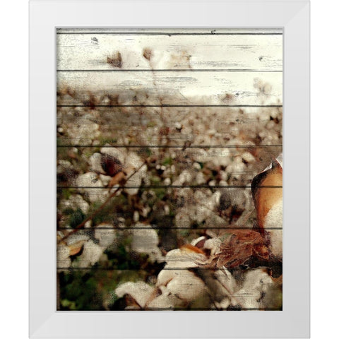 Cotton Field 2 White Modern Wood Framed Art Print by Kimberly, Allen