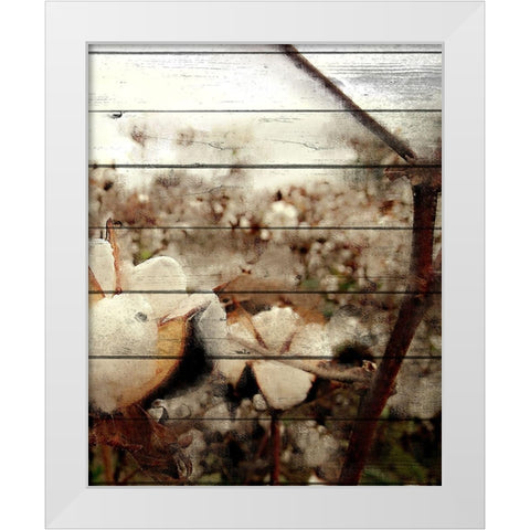 Cotton Field 3 White Modern Wood Framed Art Print by Kimberly, Allen