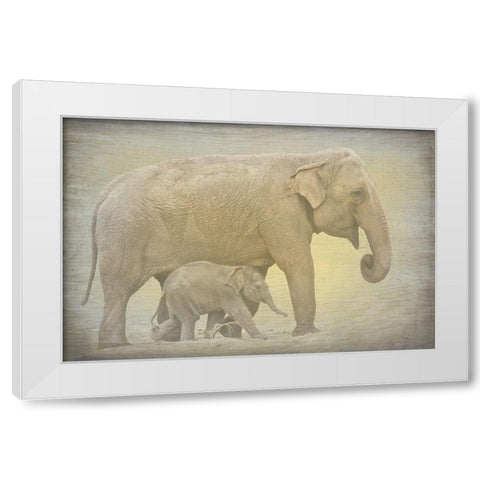 Side by Side White Modern Wood Framed Art Print by Kimberly, Allen