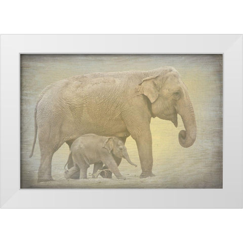 Side by Side White Modern Wood Framed Art Print by Kimberly, Allen