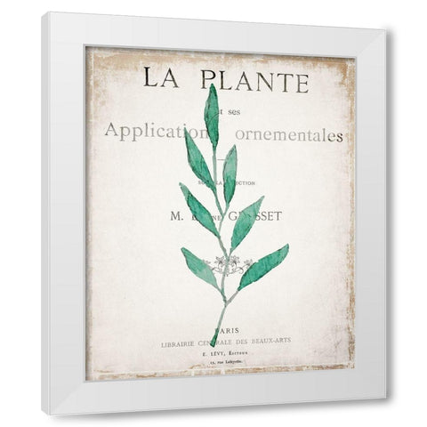 Botanical Pages 1 White Modern Wood Framed Art Print by Kimberly, Allen