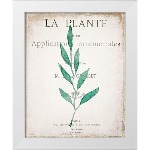 Botanical Pages 1 White Modern Wood Framed Art Print by Kimberly, Allen