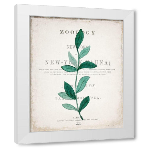 Botanical Pages 2 White Modern Wood Framed Art Print by Kimberly, Allen