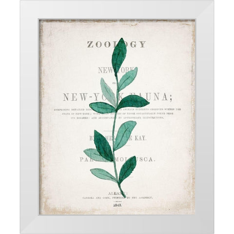 Botanical Pages 2 White Modern Wood Framed Art Print by Kimberly, Allen