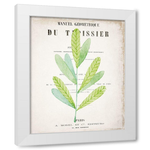 Botanical Pages 3 White Modern Wood Framed Art Print by Kimberly, Allen