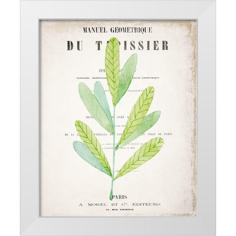 Botanical Pages 3 White Modern Wood Framed Art Print by Kimberly, Allen