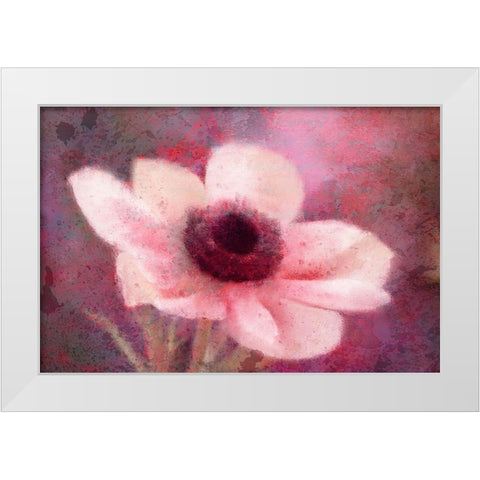 Blooming Pink White Modern Wood Framed Art Print by Kimberly, Allen