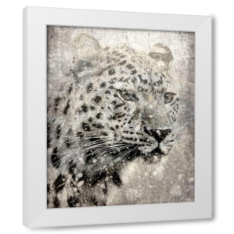 Winters Gaze White Modern Wood Framed Art Print by Kimberly, Allen