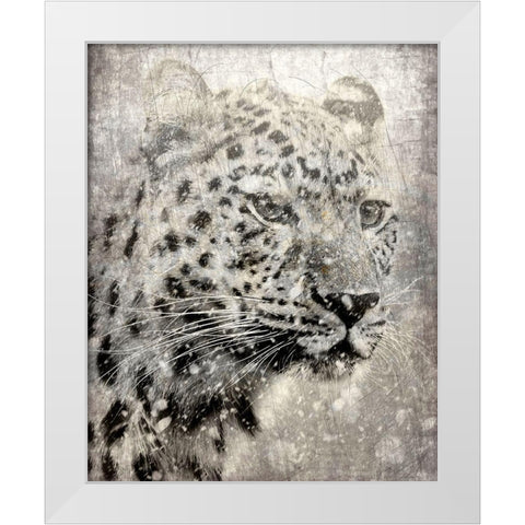 Winters Gaze White Modern Wood Framed Art Print by Kimberly, Allen