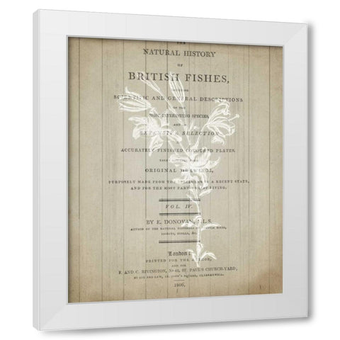 No 2 Floral Page White Modern Wood Framed Art Print by Allen, Kimberly