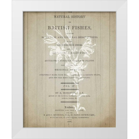 No 2 Floral Page White Modern Wood Framed Art Print by Allen, Kimberly