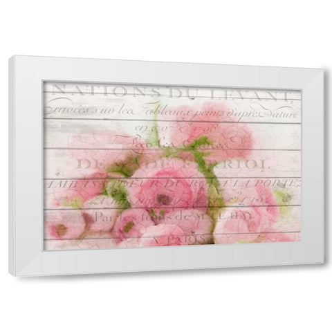 Roses in Paris White Modern Wood Framed Art Print by Allen, Kimberly