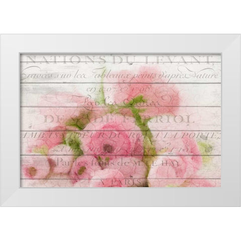 Roses in Paris White Modern Wood Framed Art Print by Allen, Kimberly