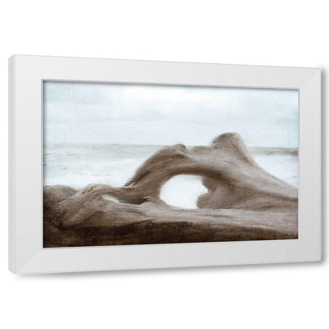Driftwood Beach White Modern Wood Framed Art Print by Kimberly, Allen