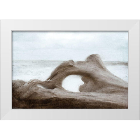 Driftwood Beach White Modern Wood Framed Art Print by Kimberly, Allen