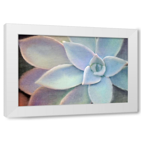 Softly White Modern Wood Framed Art Print by Allen, Kimberly