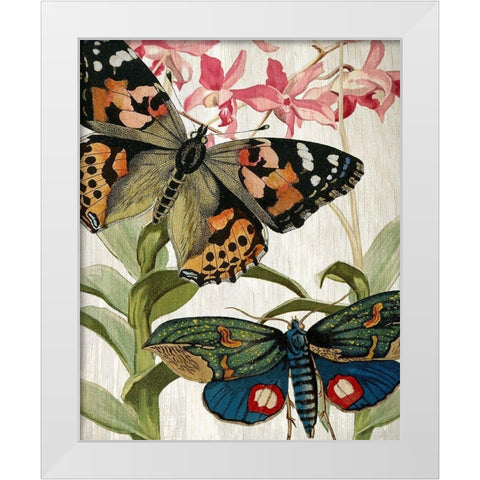 Butterfly World 1 White Modern Wood Framed Art Print by Kimberly, Allen