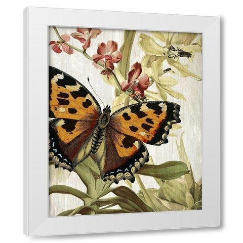 Butterfly World 2 White Modern Wood Framed Art Print by Kimberly, Allen