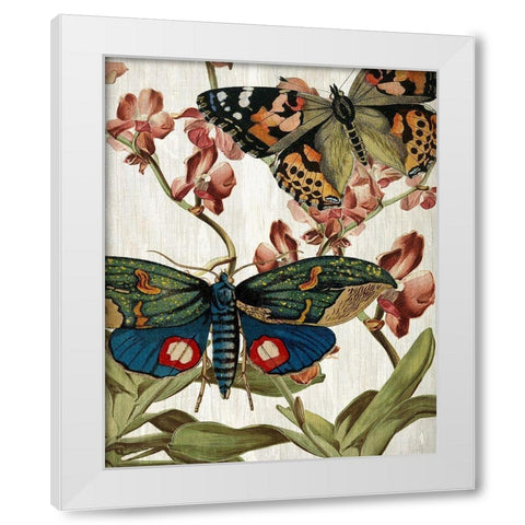 Butterfly World 3 White Modern Wood Framed Art Print by Kimberly, Allen