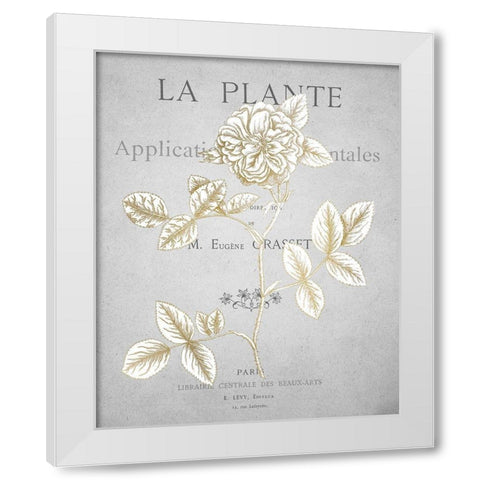 Gold Botanicals 3 White Modern Wood Framed Art Print by Kimberly, Allen