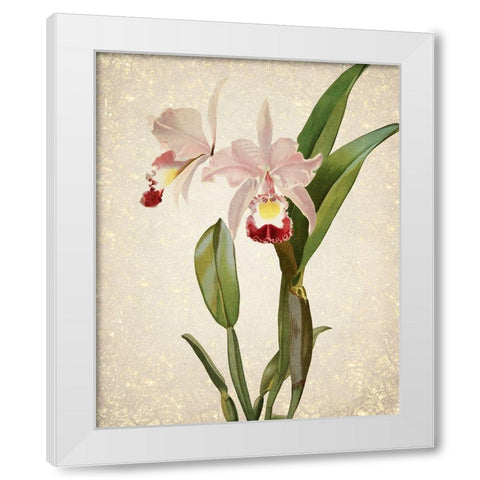 Orchids  2 White Modern Wood Framed Art Print by Kimberly, Allen