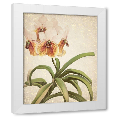 Orchids 3 White Modern Wood Framed Art Print by Kimberly, Allen