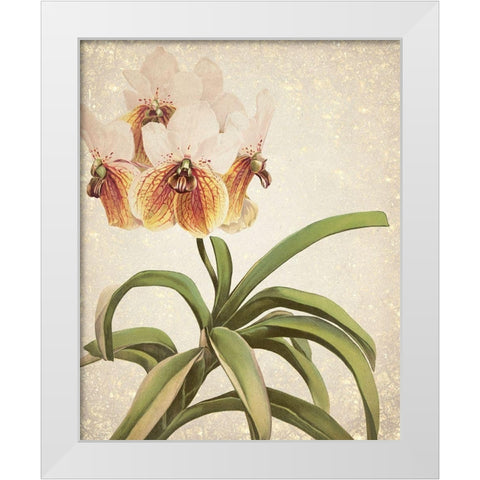 Orchids 3 White Modern Wood Framed Art Print by Kimberly, Allen