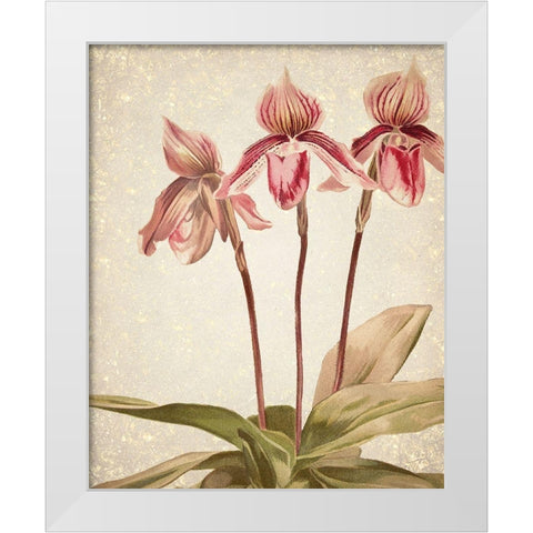 Orchids 4 White Modern Wood Framed Art Print by Kimberly, Allen