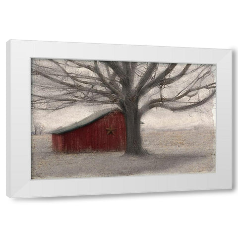 Barnyard Star White Modern Wood Framed Art Print by Allen, Kimberly