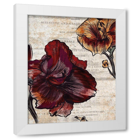 Brilliant Blooms 1 White Modern Wood Framed Art Print by Kimberly, Allen