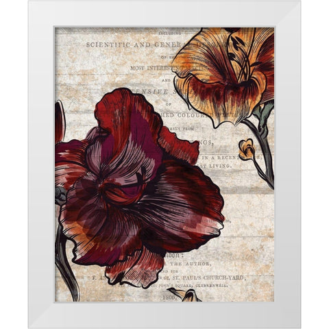 Brilliant Blooms 1 White Modern Wood Framed Art Print by Kimberly, Allen