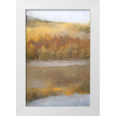 Quiet Pond White Modern Wood Framed Art Print by Kimberly, Allen