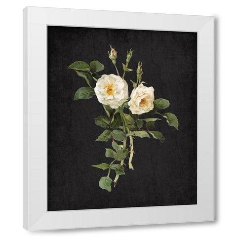 Roses on Black 1 White Modern Wood Framed Art Print by Kimberly, Allen