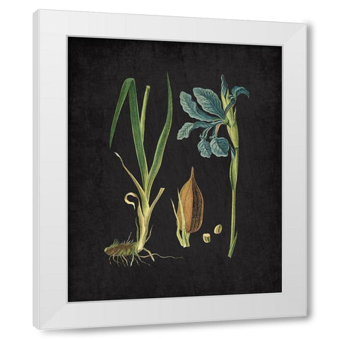 Blue Iris 1 White Modern Wood Framed Art Print by Kimberly, Allen