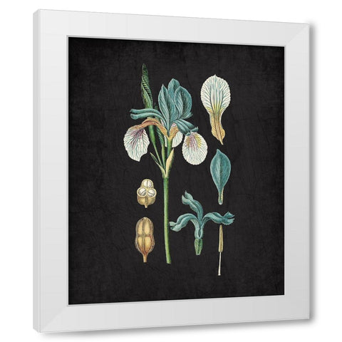 Blue Iris 2 White Modern Wood Framed Art Print by Kimberly, Allen