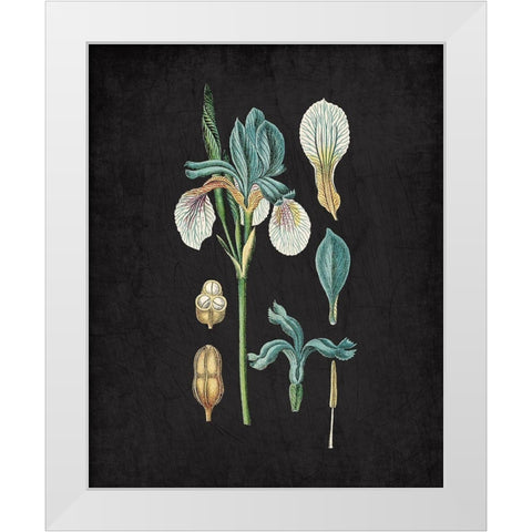 Blue Iris 2 White Modern Wood Framed Art Print by Kimberly, Allen